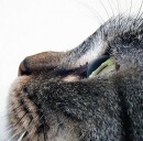 Фотография Старостиной Наталии