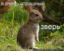 Фотография Кожевников Михаил