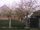 Валерія Тукаш фотография #34 (источник - https://vk.com/id71944780)