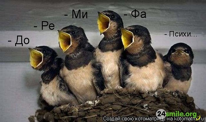 Ivan Vik фотография #11