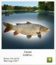 Ігор Давид фотография #17 (источник - https://vk.com/id34245226)