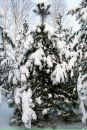 Олег Скуйбіда фотография #34 (источник - https://vk.com/id41536667)