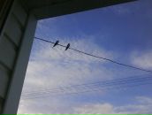 Фотография Александровой Аллы