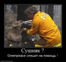Умар Яндиев фотография #34 (источник - https://vk.com/id384245)