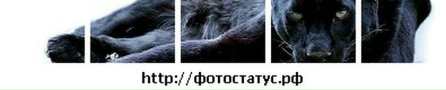 Nazar Андрушків фотография #9 (источник - https://vk.com/id33992617)