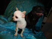 Фотография Медянниковой Марии