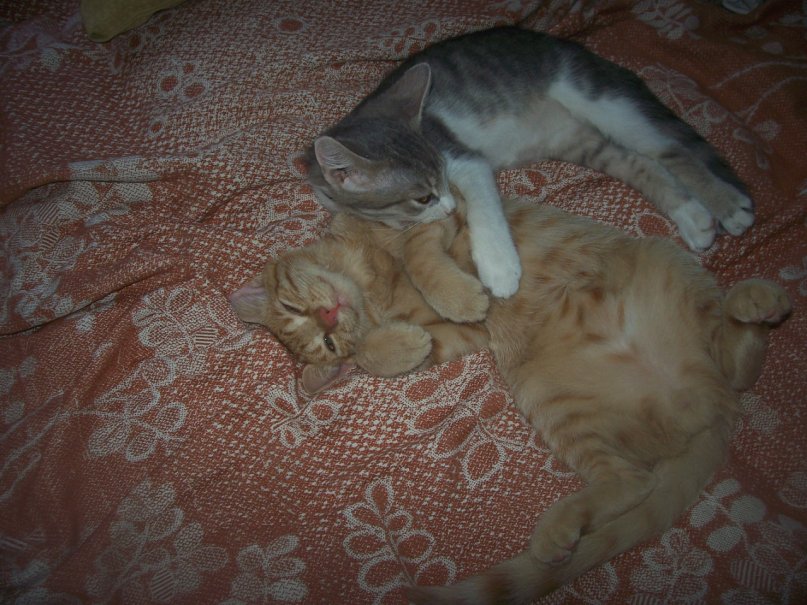 Александра Ищенко фотография #42