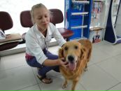 Yusuf Bulut фотография #13 (источник - https://vk.com/id48588129)