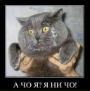 Іван Харук фотография #18 (источник - https://vk.com/id13358202)