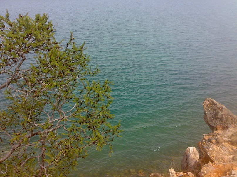 Рустам Хамракулов фотография #44