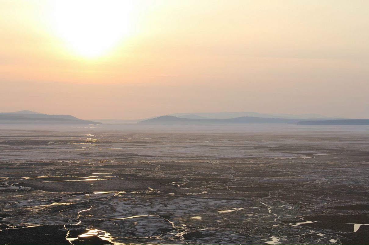 Stas Sega фотография #26