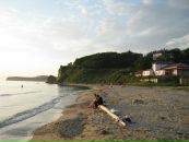 Денис Цыбин фотография #17 (источник - https://vk.com/id1444974)