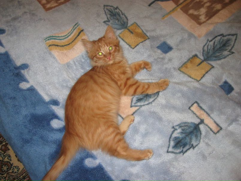 №7, Людмила Духенко №7, Людмила Духенко