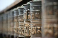 Фотография Зонтовой Дарьи