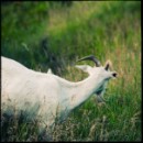 Иван Пушкин фотография #27 (источник - https://vk.com/id798232)