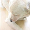 Фотография Гавриловой Екатерины