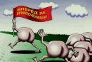 Фотография Светиной Светланы