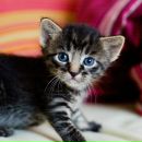 Фотография О Данила