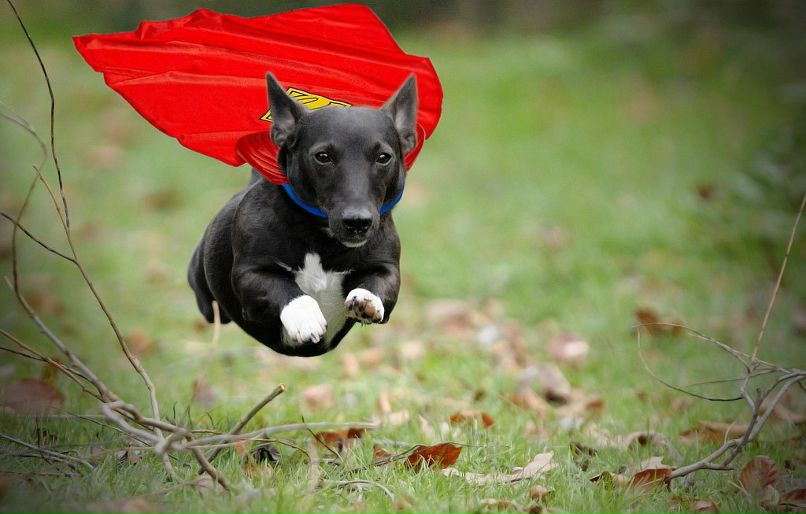 Тамара Серотенко фотография #19