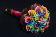 Фотография Веселовой Татьяны