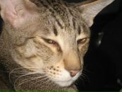 Фотография Гусева Максима