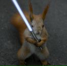 Фотография Замятиной Елены