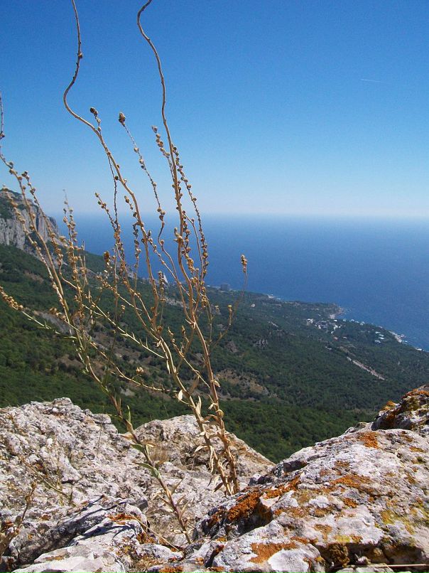 Дмитрий Воробьёв фотография #32