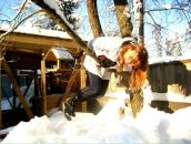 Фотография Удинской Марины