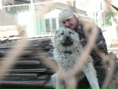 Фотография Белусяка Виталия