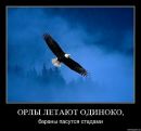 Олег Андрейців фотография #40 (источник - https://vk.com/id113450698)