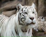 Богдан Білик фотография #31 (источник - https://vk.com/id132973382)