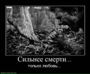 Коля Цівчик фотография #44 (источник - https://vk.com/id83797882)