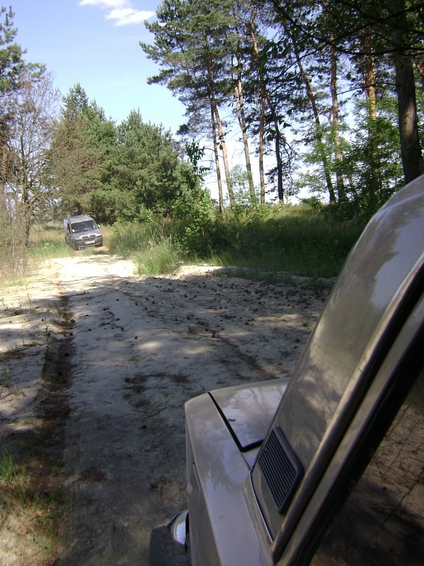 Алексей Мойсенко фотография #42