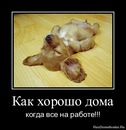 Фотография Хропко Александра