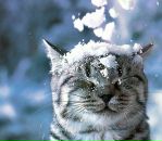 Марія Николайко фотография #29 (источник - https://vk.com/id132725763)