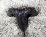 Фотография Плутахиной Натальи