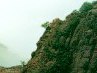 Діма Лозицький фотография #28 (источник - https://vk.com/id119492282)
