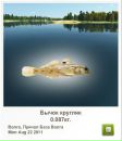 Ігор Пиць фотография #8 (источник - https://vk.com/id86825117)