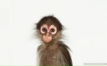 Фотография Наземцевой Анны