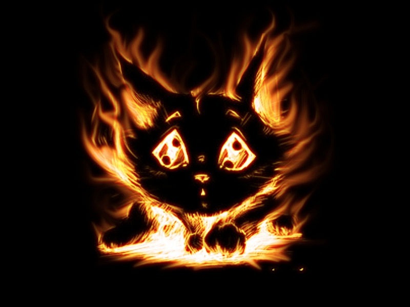 Сергей Каримов фотография #6