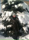 Наташа Іванчук фотография #13 (источник - https://vk.com/id140690168)