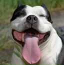 Фотография Лепского Ромы