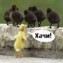 Snow Kaj фотография #13 (источник - https://vk.com/id12064151)