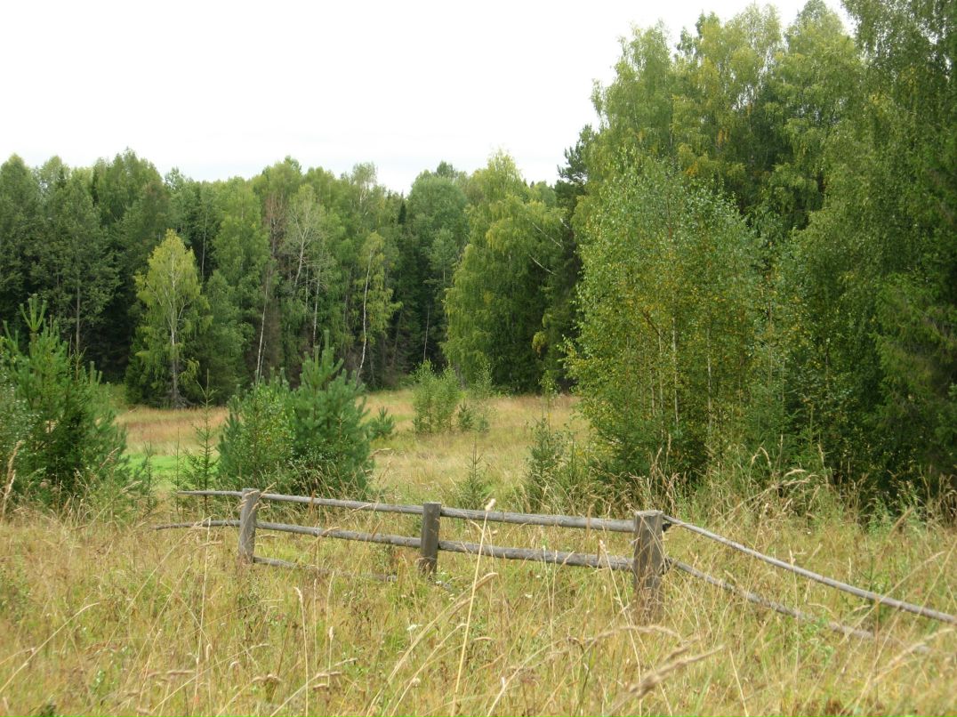 Дарья Дмитриева фотография #49