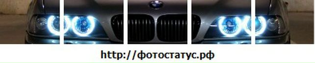 Игорь Дмитриев фотография #4 (источник - https://vk.com/id41852772)