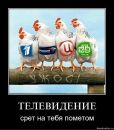 Надія Шпиль фотография #26 (источник - https://vk.com/id71877822)