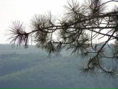 Дініс Боднарюк фотография #11 (источник - https://vk.com/id66434477)