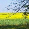 Руслан Білецький фотография #14 (источник - https://vk.com/id21558639)