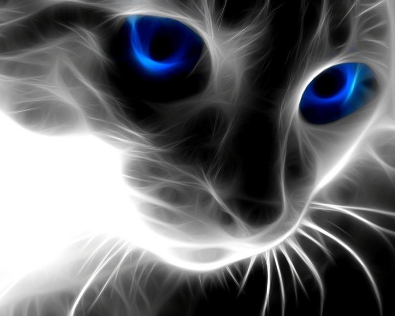 Сергей Сидоров фотография #7