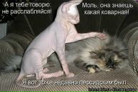 Андрій Шевчук фотография #36 (источник - https://vk.com/id12672699)